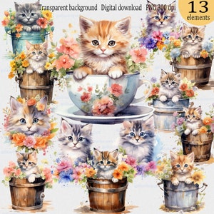 Aquarel bloemenkatje: lentebloemen Clipart; Inrichting huisdierkwekerij; Schattige babykat in de tuinemmer; Betoverende kittensillustraties