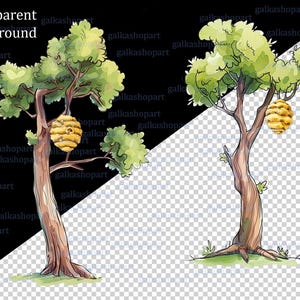 May include: Watercolor illustration of two trees with beehives. The trees have green foliage and brown trunks. The beehives are yellow and brown, hanging from the branches. The background is transparent and black.