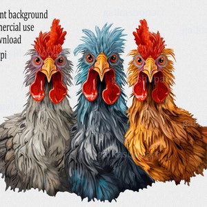 Clipart coqs joyeux fous : clipart sur le thème de la ferme avec des poulets rigolos, PNG transparents, idéal pour la sublimation, impressions western