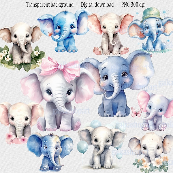 Clipart-Set von 12 entzückenden Elefanten: süße Aquarelle von Baby-Safari-Tieren in blau und rosa mit Blumen, traumhaftes Kinderzimmer