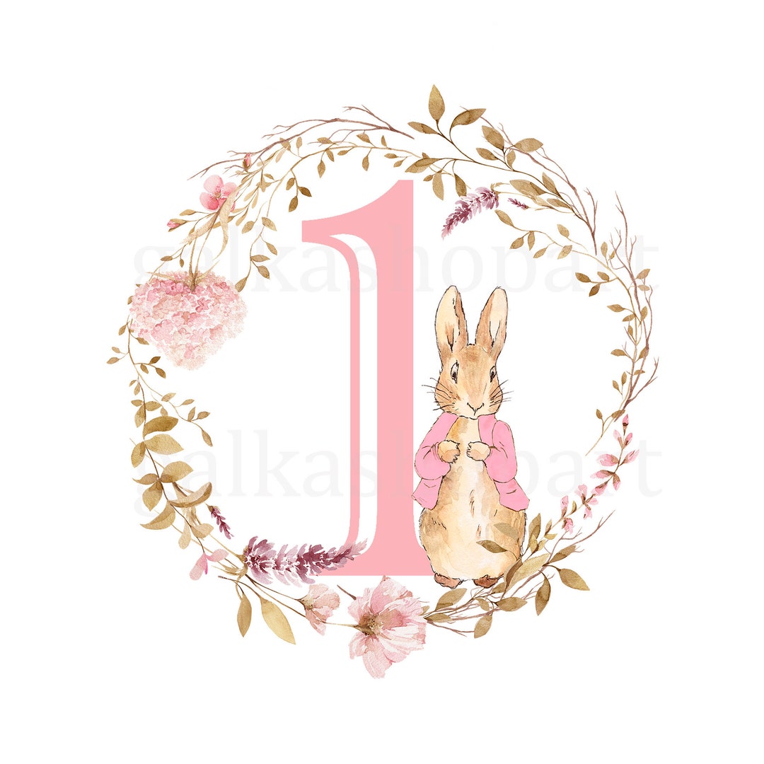 Clipart Peter Rabbit 1st Birthday Transparent PNG File - Etsy