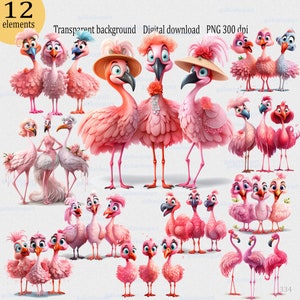 Excéntricos 3 flamencos hembras 12 dibujos animados clipart PNG: elegante divertido alegre extravagante de moda con estilo pájaro, caricatura nupcial humorística