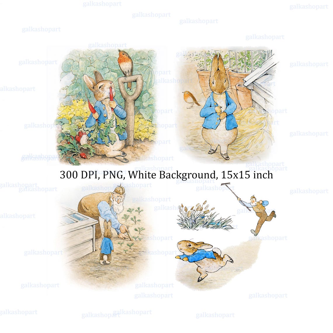 Peter Rabbit Scene Drawing Peter Rabbit Clipart Set: 33 Vintage Watercolor Pngs, Storybook Bunny ...
