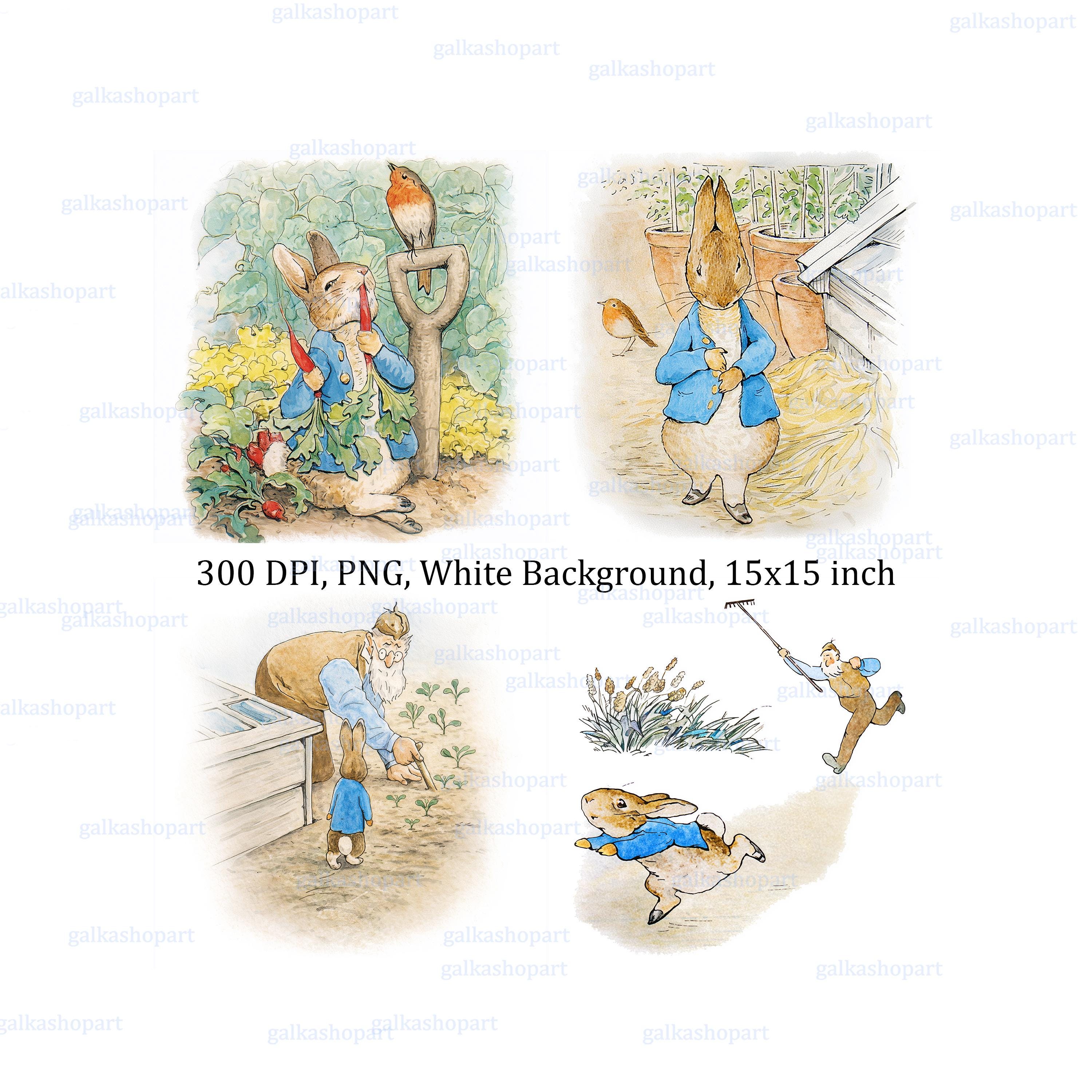 Peter Rabbit Clipart Set: 33 Vintage Watercolor Pngs, Storybook Bunny ...