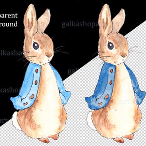 Peter Rabbit clipart bundle: Watercolor Flopsy Bunny and other elements for Birthday party decor, Sublimation Design, Baby Shower print image 3