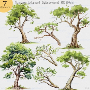 Aquarel loofbomen en bos boomtakken clipartset: hoogwaardige png-afbeeldingen, botanische digitale kunst, natuur groen bos decor
