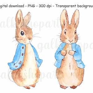 Peter Rabbit e Flopsy Bunny in giacca blu per sublimazione, clipart acquerello A3 PNG, illustrazione di Beatrix Potter, sfondo trasparente