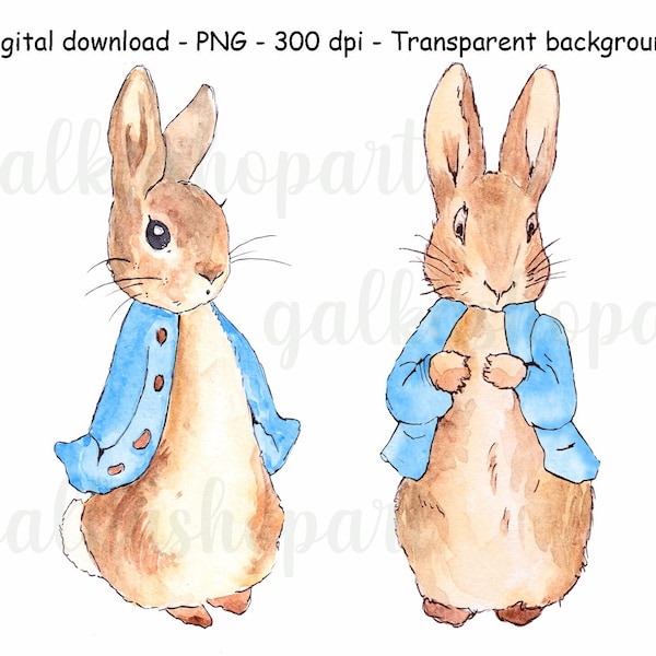 Peter Rabbit and Flopsy Bunny in blue jacket for sublimation, A3 watercolor clipart PNG, Beatrix Potter illustration, transparent background