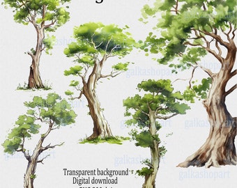 Watercolor Tall Forest Trees Clipart, single separate green tree, 5 High-Quality Png Images, Botanical Digital Art, Nature, Woodland