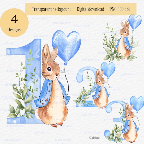 Peter Rabbit 1st 2nd 3rd Birthday Balloon & Greenery: PNG Clipart on Transparent bg, Watercolor painting, Sublimation print, Shower Invite