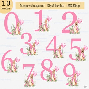 Peter Rabbit rosa Ziffern Clipart: Set aus 10 Ziffern mit Blättern und Kaninchen PNG, Aquarell Ziffer, Sublimationsdesign für den Druck