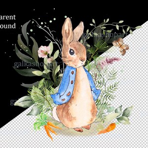 May include: Watercolor illustration of a brown rabbit wearing a blue jacket, surrounded by green leaves, pink flowers, and a butterfly. The rabbit is standing on a bed of carrots.