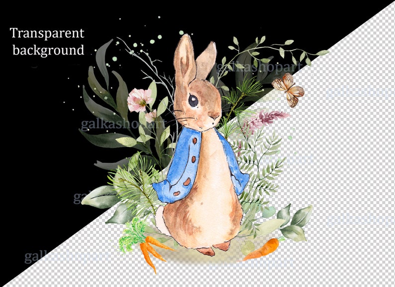 May include: Watercolor illustration of a brown rabbit wearing a blue jacket, surrounded by green leaves, pink flowers, and a butterfly. The rabbit is standing on a bed of carrots.