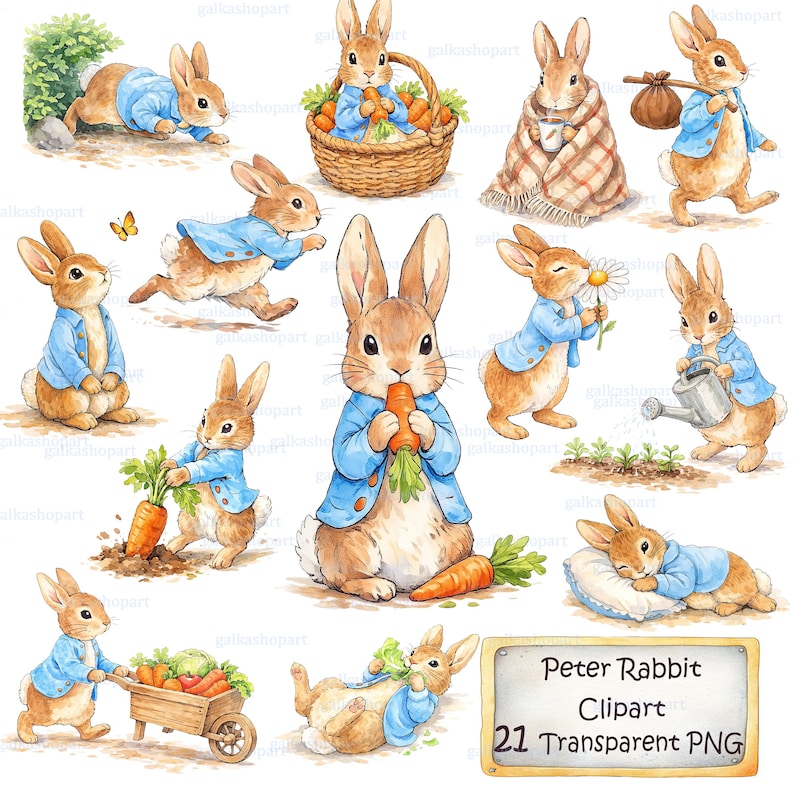 Peter Rabbit Clipart Bundle: 21 Watercolor Bunny Pngs, Storybook Garden ...