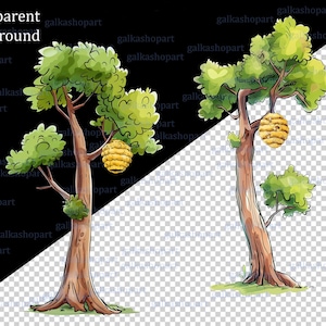May include: Watercolor illustration of two trees with green foliage and a yellow beehive hanging from the branches. The trees have brown trunks and are set against a transparent background. The text "Transparent background" is at the top.