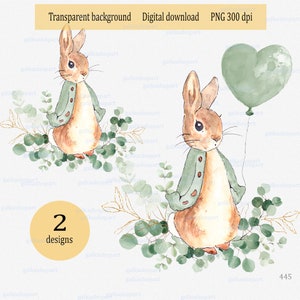 Sage green Peter Rabbit, greenery & balloon sublimation graphic, Flopsy Bunny illustration, Gender neutral baby party Watercolor clipart PNG