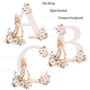 Clipart alphabet Pierre lapin beige : lot de 26 lettres individuelles avec roses PNG, aquarelle floral sublimation, monogramme, neutre