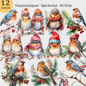Clipart de pássaro de Natal PNG: 12 pássaros de inverno em aquarela, cardeal vermelho e tordo em cachecol, sublimação de feriado em bosque nevado, arte de cartão comemorativo