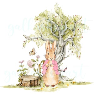 Sublimationsdesign von Peter Rabbit, Clipart PNG auf transparenten Hintergrund, Aquarellmalerei, Baby-Geburtstagsdruck