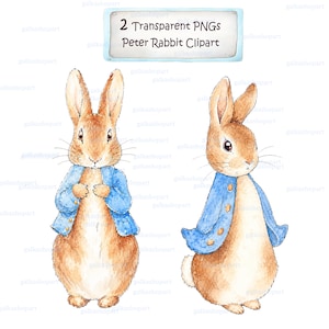 Peter Rabbit und Flopsie Bunny in blauer Jacke für Sublimation, A3 Aquarell Clipart PNG, Beatrix Potter Illustration, transparenter Hintergrund