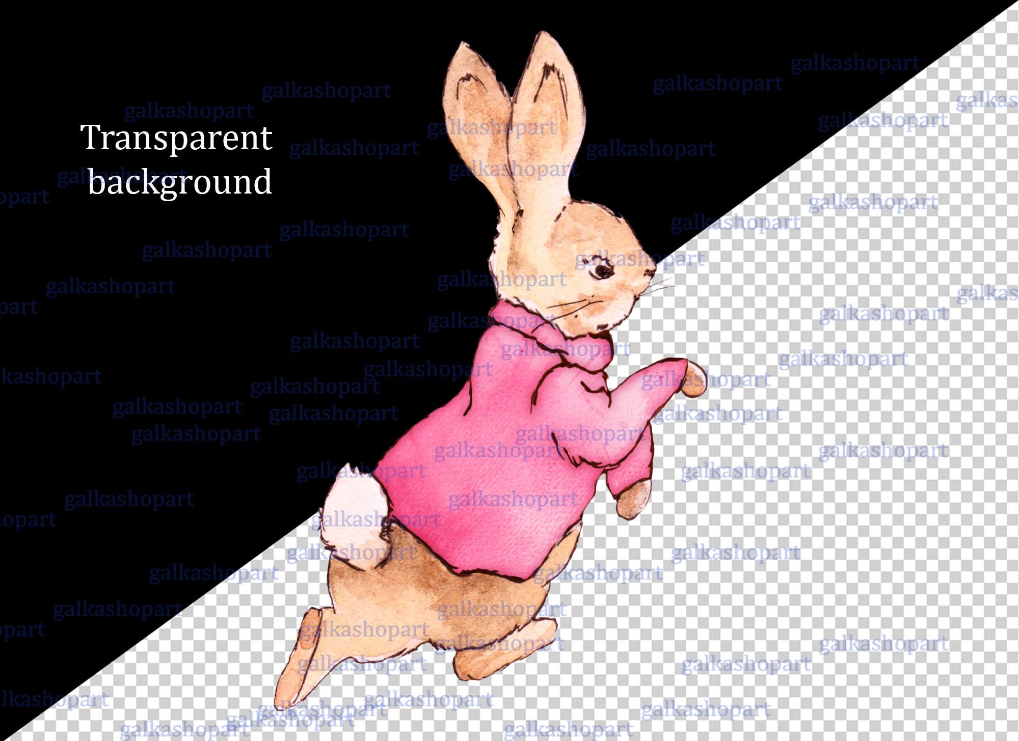 昇華転写用のピンクのジャケットを着たピーターラビット、水彩画