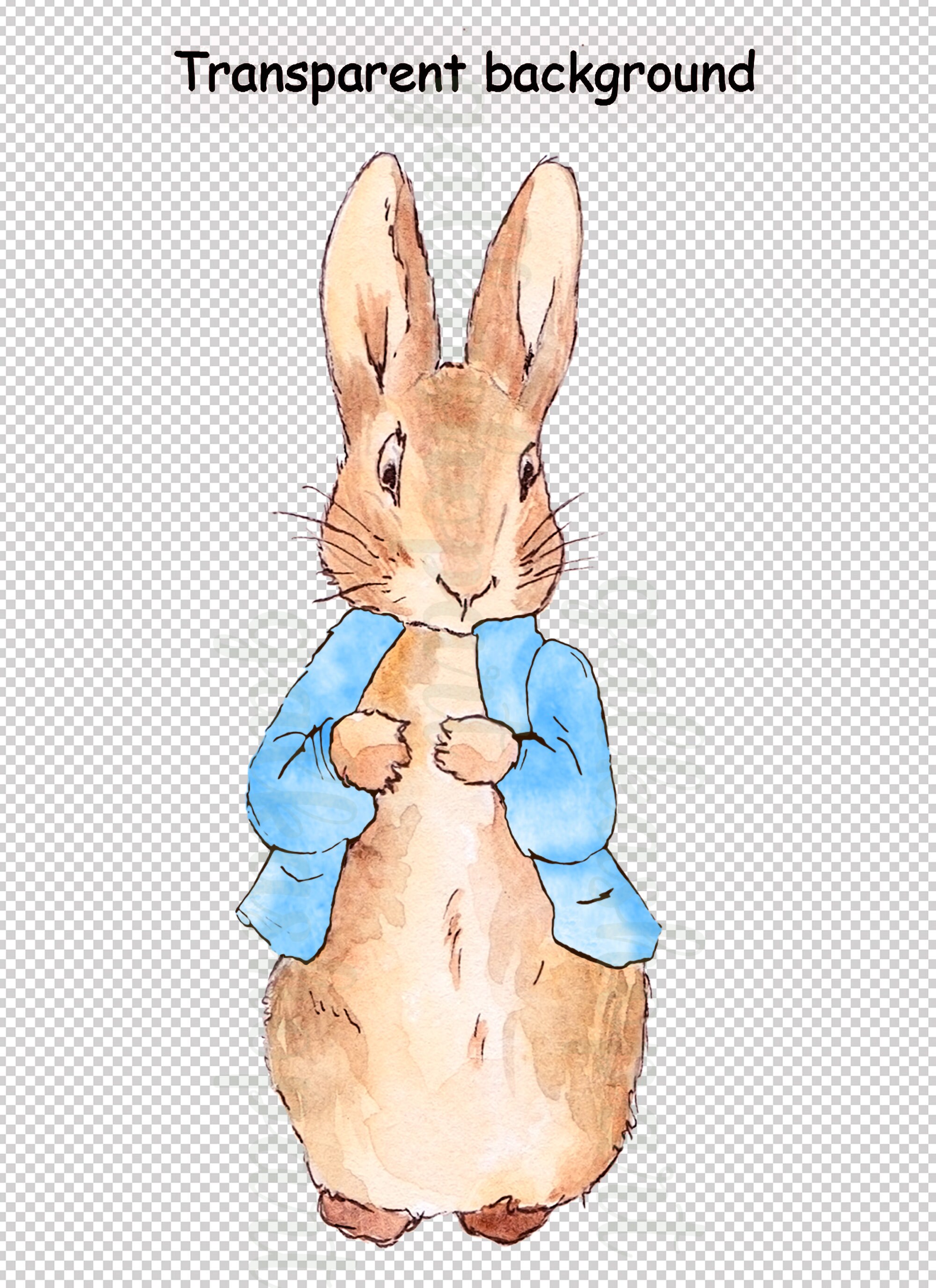 ピーターラビットの水彩画 ≪渋谷≫「ピーターラビット」の原画やスケッチ200点を公開