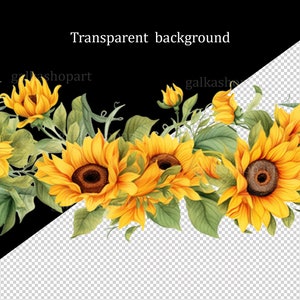 K&ouml;nnte beinhalten: Ein Rand aus Aquarell-Sonnenblumen mit gr&uuml;nen Bl&auml;ttern und Stielen. Die Sonnenblumen sind gelb mit braunen Zentren. Der Hintergrund ist transparent.