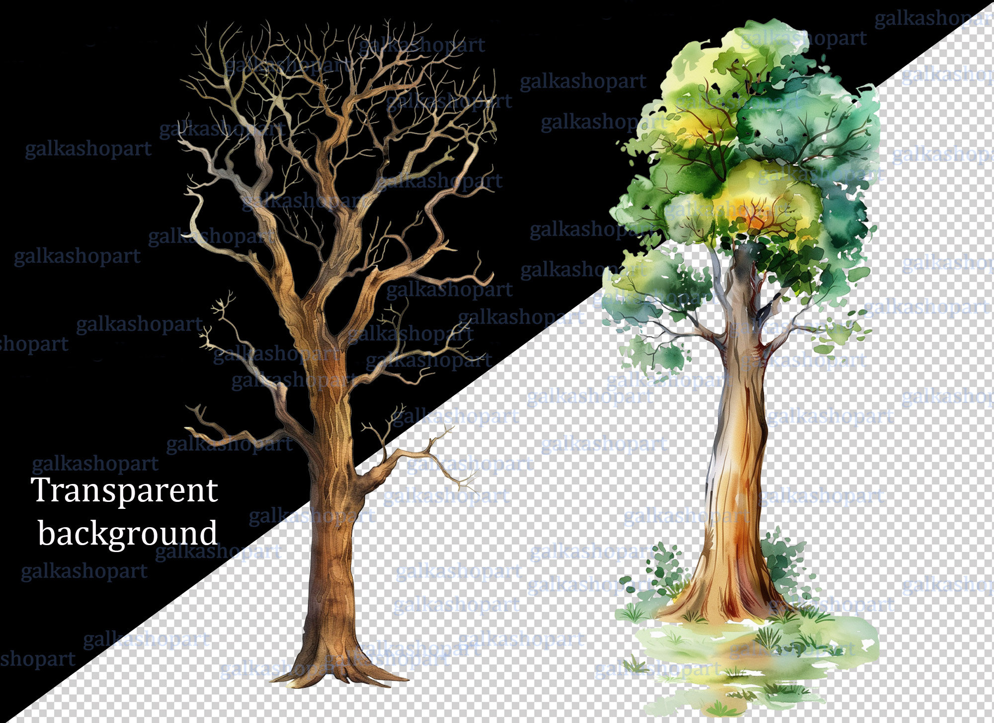 水彩画の漫画の森の落葉樹と葉のない木：シンプルな木のクリップアートPNG、単一の独立した緑の木、植物、自然、森林 - Etsy 日本, image size:2000x1455