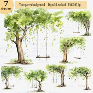 Zomerboom en hangende schommel op zijn tak - Aquarel clipart PNG, Bosloofbomen, Botanische Digitale Kunst, Natuur Groen Bos
