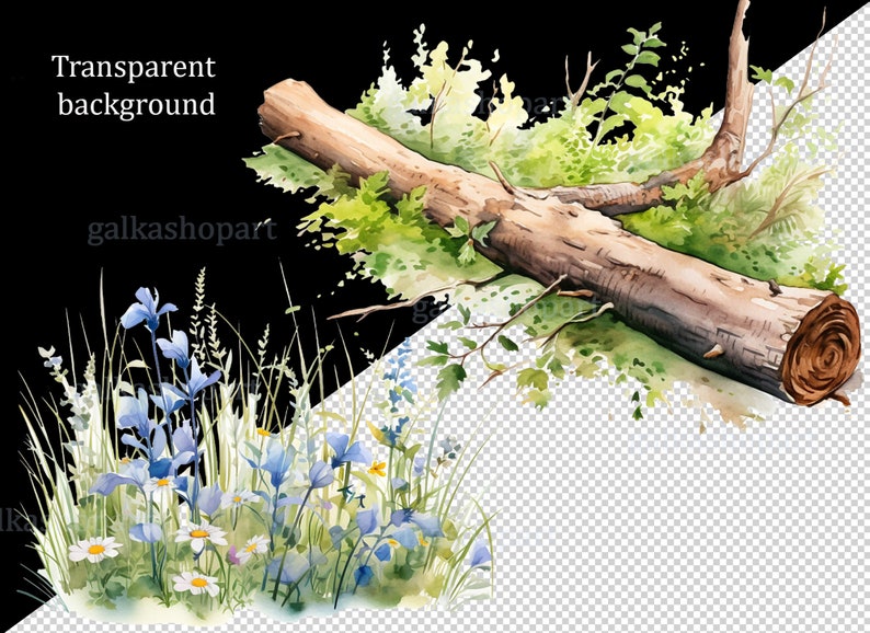 Peter Rabbit clipart bundle: Watercolor Flopsy Bunny and other elements for Birthday party decor, Sublimation Design, Baby Shower print image 6