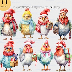 Poulet de Noël en bonnet de Noel avec cadeau : clipart drôle de coq PNG pour sublimation, aquarelle animal de la ferme, festivités à plumes, lot de 11
