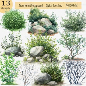 13 dibujos animados en acuarela de piedras y arbustos caducifolios y sin hojas: un solo arbusto verde separado; botánico, imágenes prediseñadas de naturaleza PNG