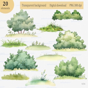 Aquarell Natur Clipart, wildes Gras und Strauch, Wiesenkräuterrand, Frühlingsgrasbeet, botanische Naturlandschaft, Sommerrasen, 20 PNGs