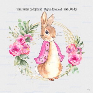 Peter Rabbit im Blumenkranz Clipart PNG, Sublimationsdesign für Mädchen Taufe Willkommensschild, rosa Aquarell Flopsie Bunny, Taufe