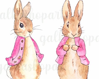 Peter Rabbit and Flopsy Bunny in pink jacket for sublimation, A3 watercolor clipart PNG, Beatrix Potter illustration, transparent background