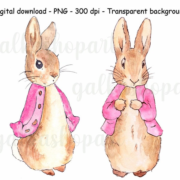 Peter Rabbit and Flopsy Bunny in pink jacket for sublimation, A3 watercolor clipart PNG, Beatrix Potter illustration, transparent background