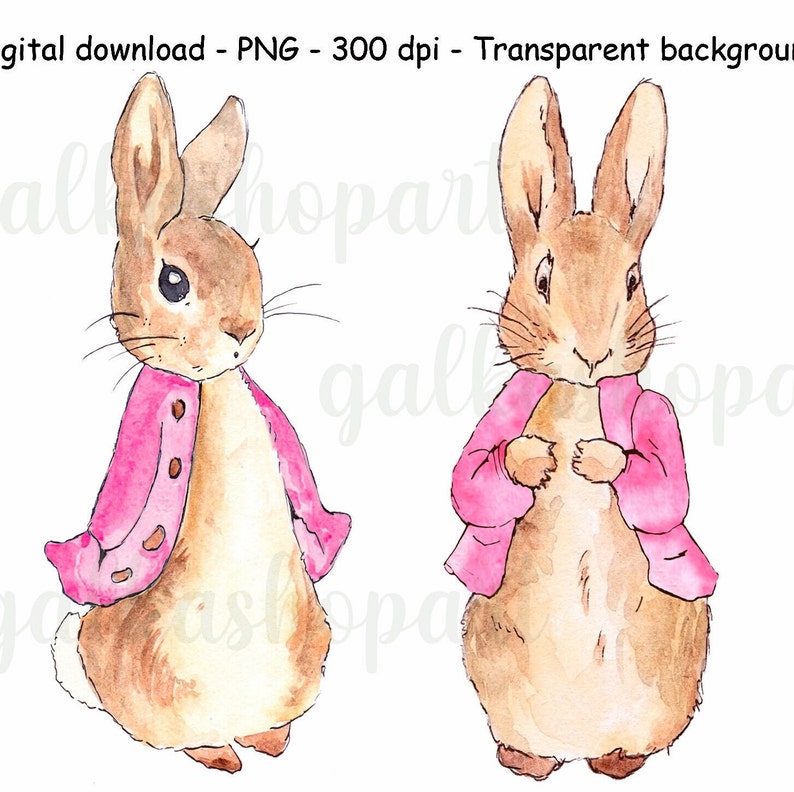 Peter Rabbit and Flopsy Bunny in Pink Jacket for Sublimation, A3 ...