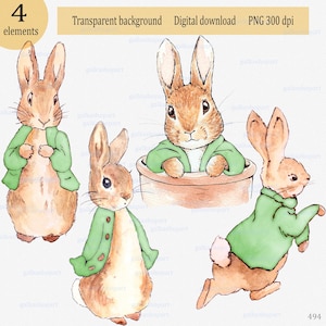 Peter Rabbit in green jacket: Watercolor clipart png Beatrix Potter character Flopsy bunny sublimation design Gender neutral birthday party