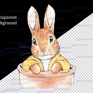Peter Rabbit Yellow Dress Rabbit Peter Rabbit in Yellow Jacket: Watercolor Clipart Png Beatrix Potter ...