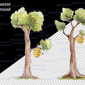 May include: Watercolor illustration of two trees with green foliage and a beehive hanging from the branches. The trees have brown trunks and are set against a transparent background. The text "Transparent background" is in the upper left corner.