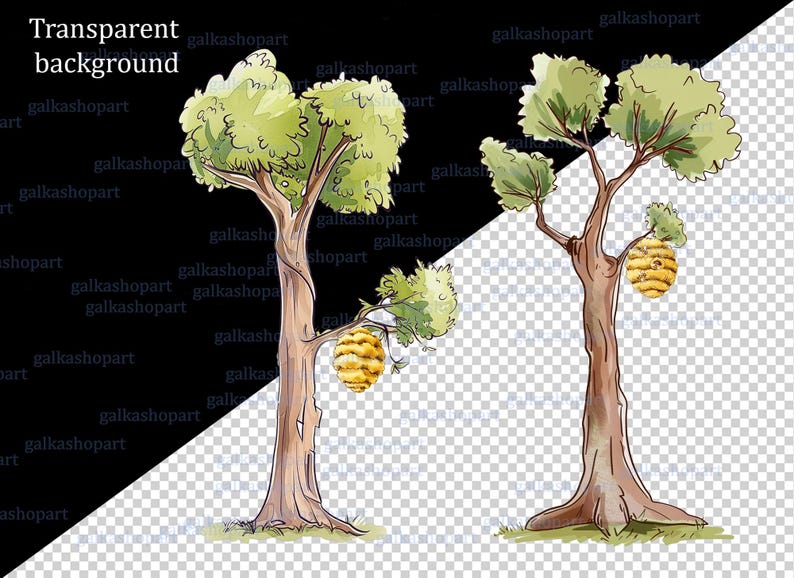 May include: Watercolor illustration of two trees with green foliage and a beehive hanging from the branches. The trees have brown trunks and are set against a transparent background. The text "Transparent background" is in the upper left corner.