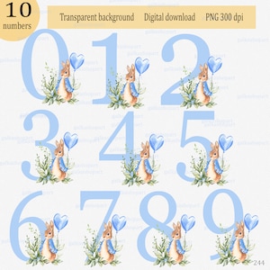 Peter Rabbit blaue Ziffern Clipart: 10 einzelne Zahlen mit Blättern und Kaninchen PNG, Aquarell Ziffer, Sublimationsdesign für den Druck