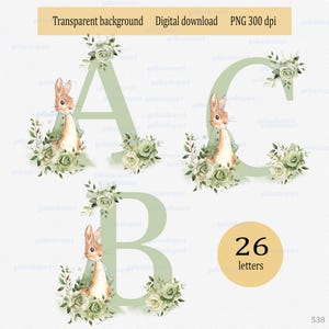 Peter Rabbit Sage Grün Alphabet Clipart: 26 einzelne Buchstaben mit Rosen PNG Aquarell Blumen Sublimationsdesign Neutrales Monogramm