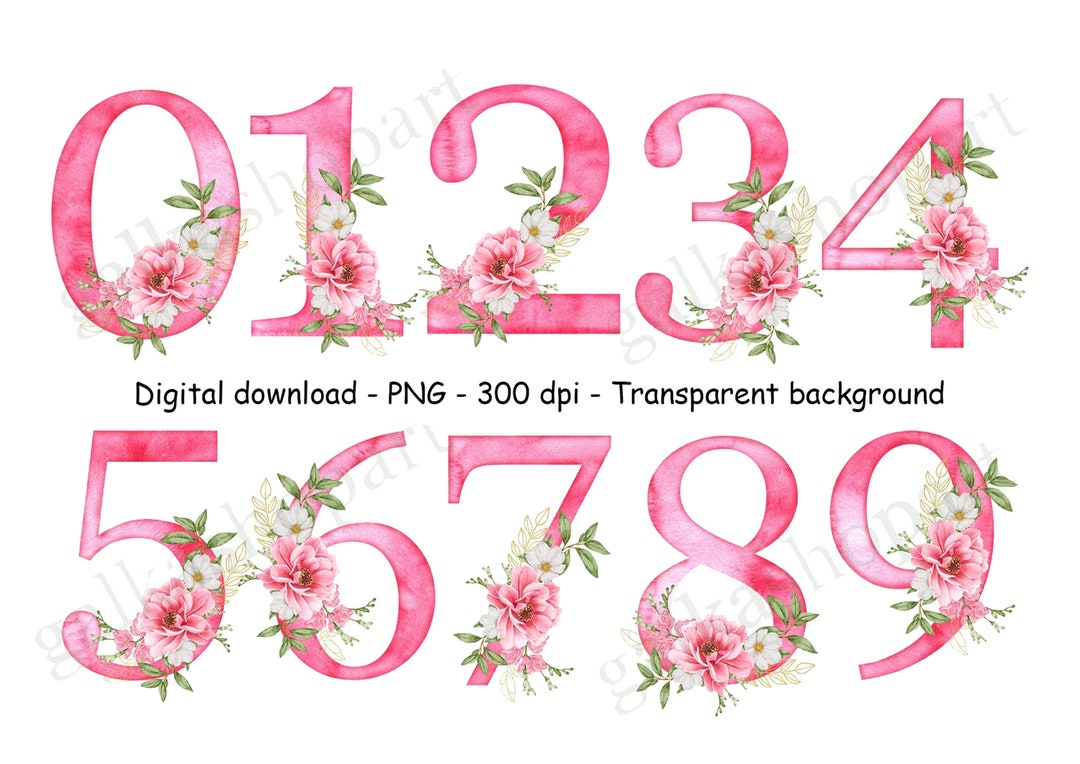Pink Watercolor Floral Number PNG, Individual Number Clipart, Birthday