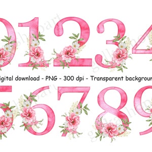 Rosa Aquarell Blumennummer PNG, individuelle Anzahl Clipart, Geburtstag Design, Blumen Sublimationsgrafik, Mädchen Party Design, Hochzeitsdeko