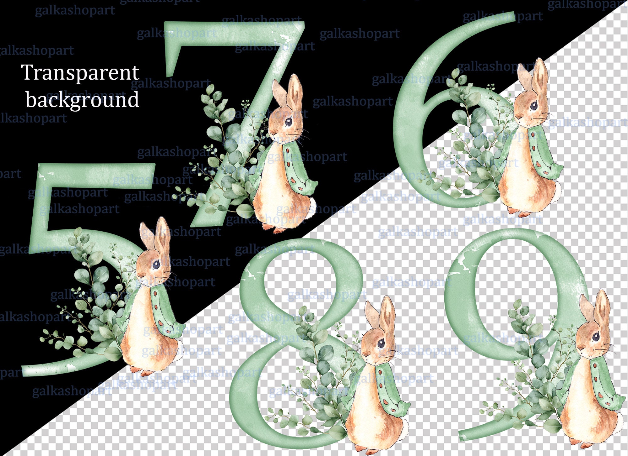 Peter Rabbit Green Rabbit Name Peter Rabbit Green Alphabet & Numeral Clipart PNG: 26 Watercolor ...