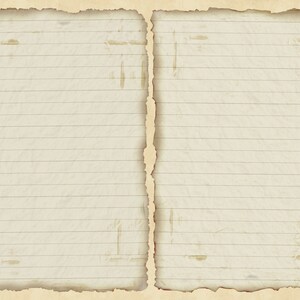 May include: A blank sheet of lined paper with a worn, aged appearance. The paper has a slightly yellowed hue and the edges are torn and frayed, giving it a vintage look.