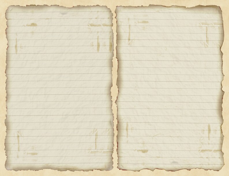 May include: A blank sheet of lined paper with a worn, aged appearance. The paper has a slightly yellowed hue and the edges are torn and frayed, giving it a vintage look.