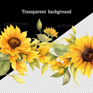 K&ouml;nnte beinhalten: Ein Aquarellbild eines Saums aus Sonnenblumen mit gr&uuml;nen Bl&auml;ttern. Die Sonnenblumen sind gelb mit braunen Zentren. Der Hintergrund ist transparent.
