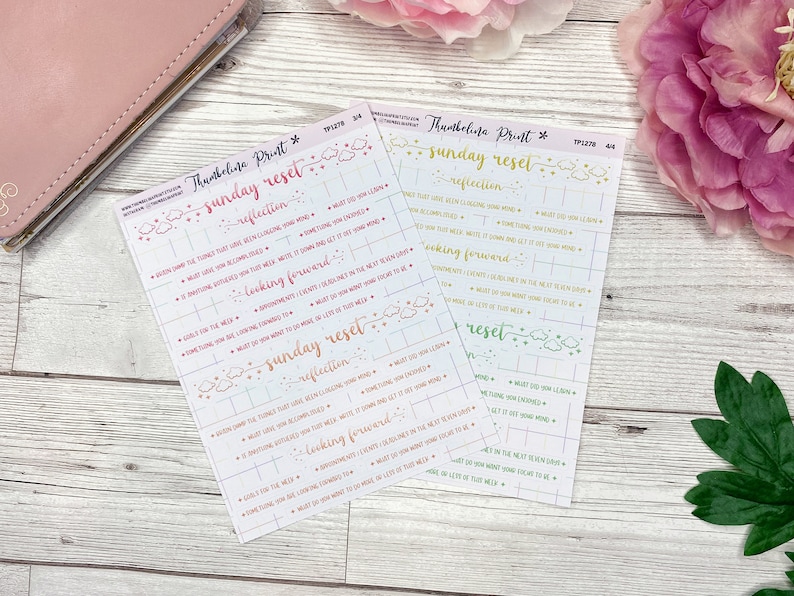 Puede incluir: Dos hojas imprimibles en tonos pastel rosa y verde. Las hojas se titulan "Sunday Reset" y presentan indicaciones para la reflexi&oacute;n y la anticipaci&oacute;n. Las hojas est&aacute;n dise&ntilde;adas para su uso en una agenda o un diario.